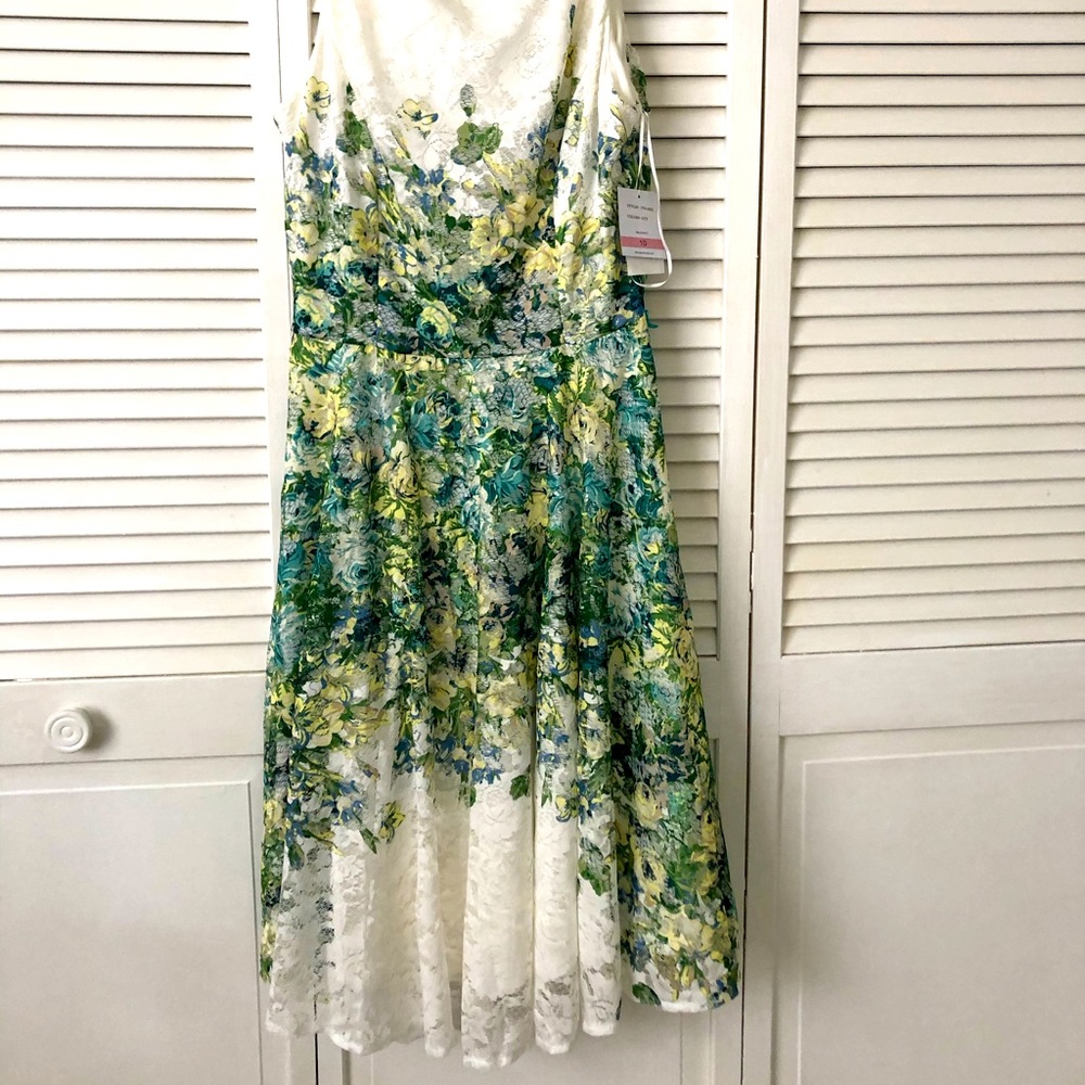 Danny and Nicole dress spring dress